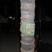 Kissing palm