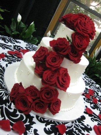  Pasteles de Fondat Rojos - 1
