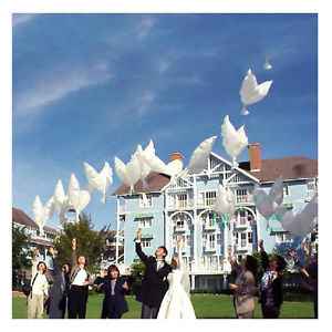 Ahora si 😂 globos led - 15