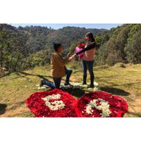 ¿Tu pareja se arrodilló cuando hizo la propuesta?🎁 - 1
