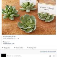 todofera farza 5