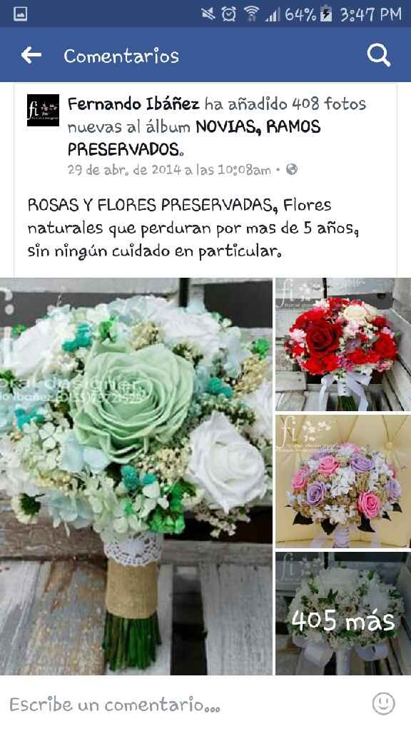 Mis provedores mty. .. coral - 5