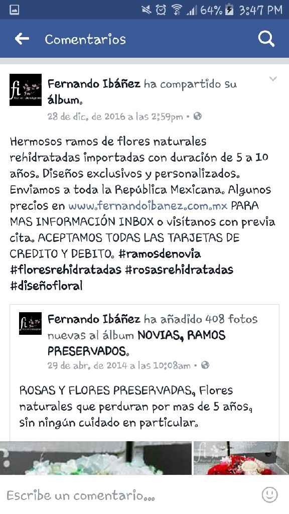 Mis provedores mty. .. coral - 6