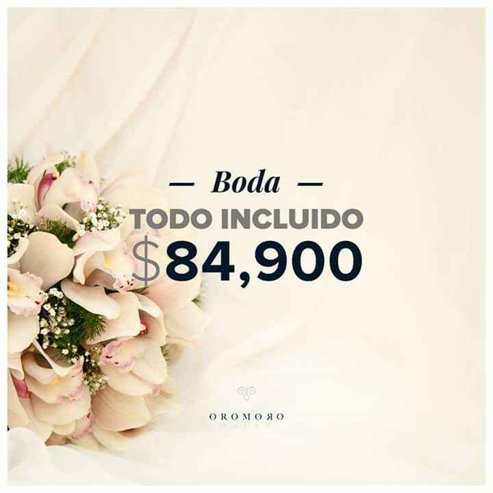 Mis provedores mty. .. coral - 24