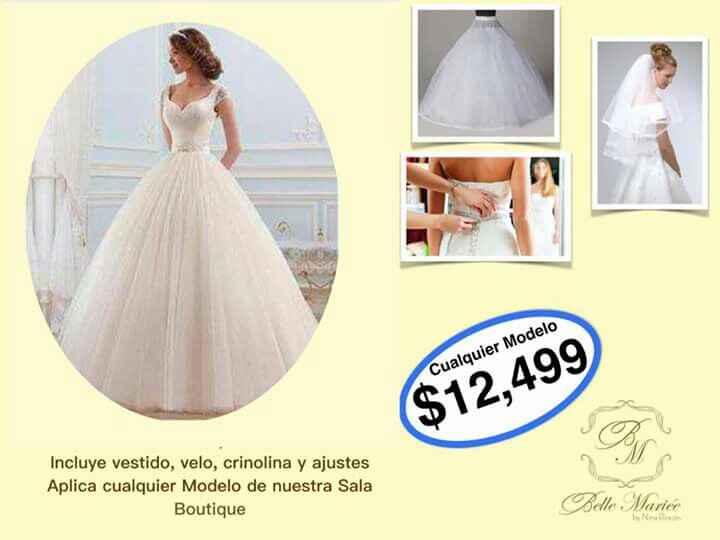 Mis provedores mty. .. coral - 35