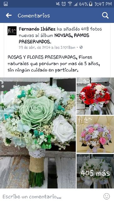 Mis provedores mty. .. coral - 5