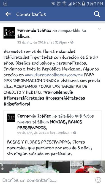 Mis provedores mty. .. coral - 6