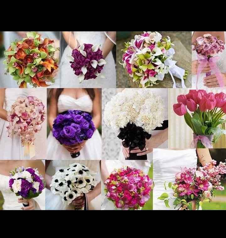 Cual ramo elegir? - 1