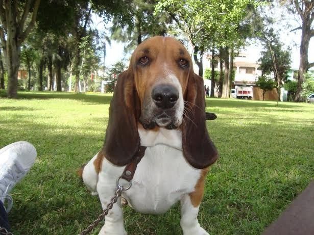 Nuestro Hijo