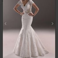 Si tu Fm tuviera que elegir tu vestido de boda.. - 1