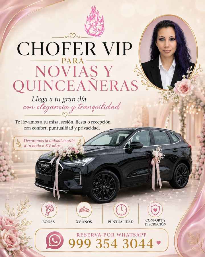Chófer Ejecutivo vip - 1