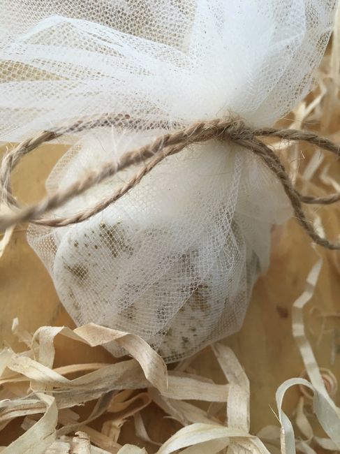 ¡¡anunciamos Nuestra Boda!! - 4