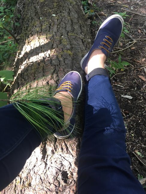🌲🌲ya tenemos el lugar perfecto  🌲🌲 - 2