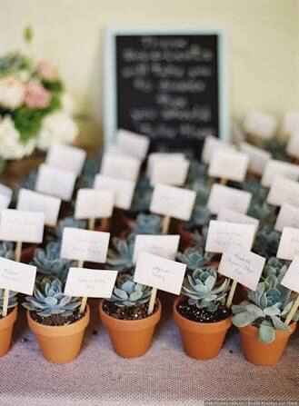 Suculentas Para Mis Invitados - 1