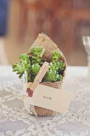 Suculentas Para Mis Invitados - 3