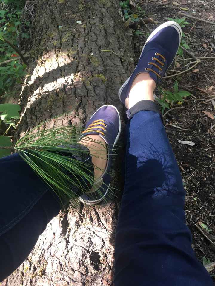 🌲🌲ya tenemos el lugar perfecto  🌲🌲 - 2