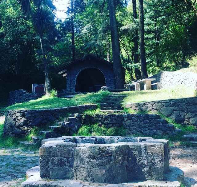 Boda en el bosque🌲🌲 - 1