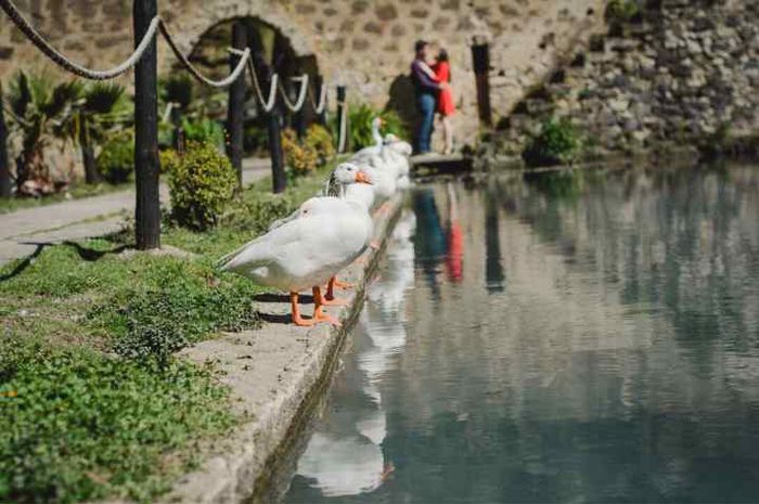  Sesión save the date parte 2 😍🌹🍃 - 1