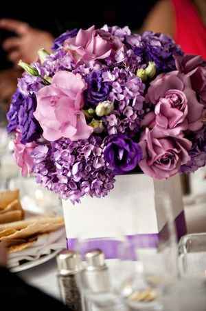 Ideas morado - plata