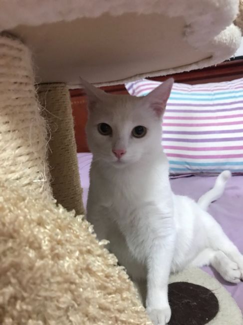 Nuestro bby, no podra acompañarnos a la boda 15