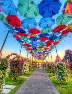 Jardin?
