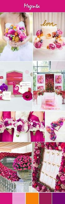 Comparte...tu paleta de colores favorita 19