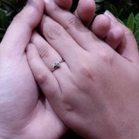 Simpre juntos 