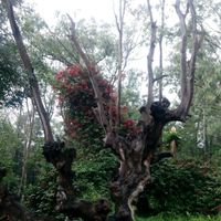 Sesión de fotos - 1