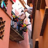 Sofía