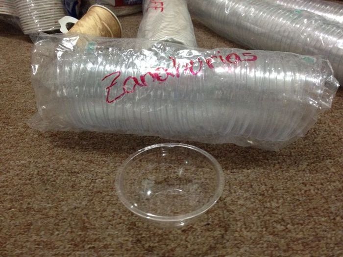 Tazon para zanahorias en escabeche