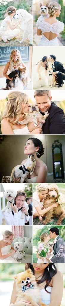 Quiero a mi perrito en mis fotos!!! - 1