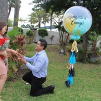 mi propuesta de matrimonio