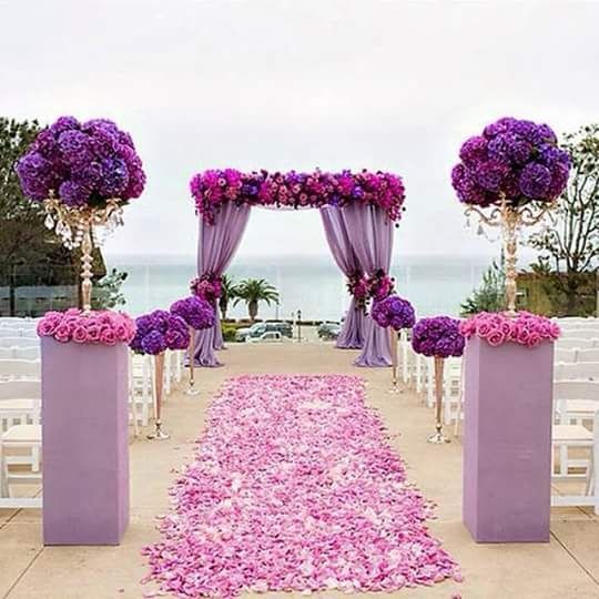Club de la novia morada - 3