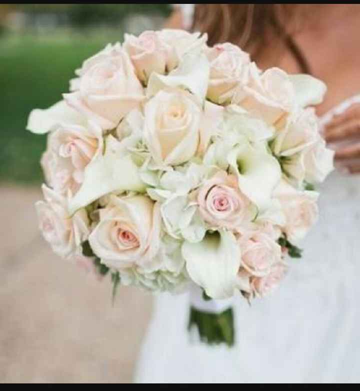 Ustedes como cual elegirían? - 1