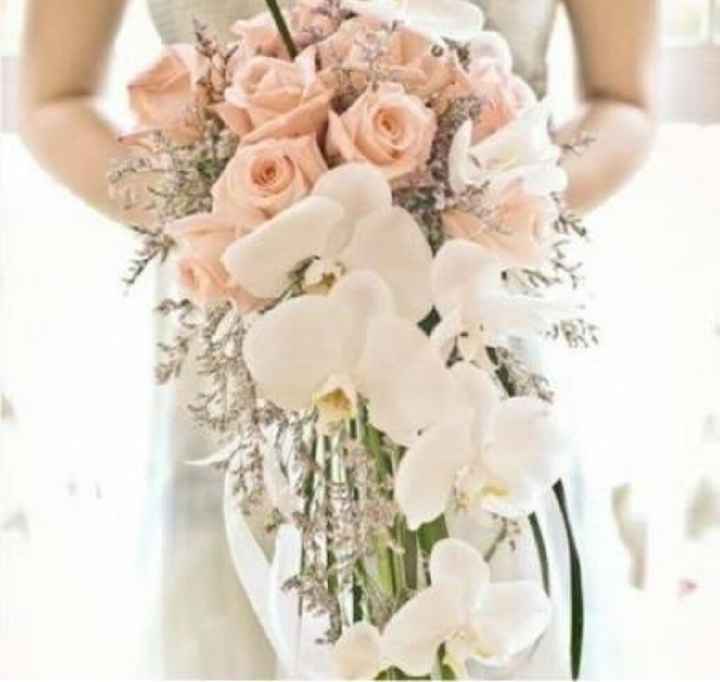 Ustedes como cual elegirían? - 3