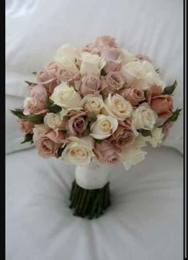 Ustedes como cual elegirían? - 5