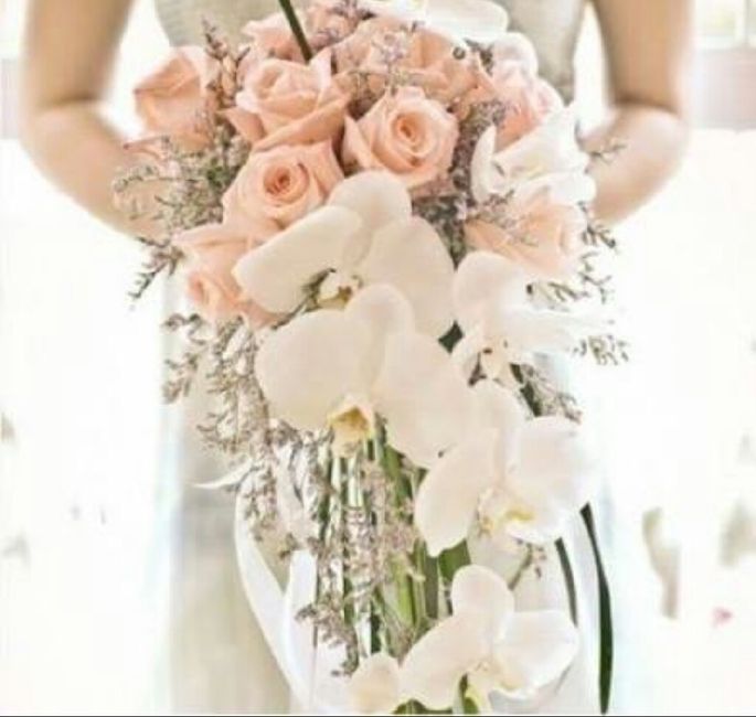 Ustedes como cual elegirían? - 3