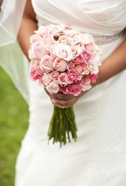 Ustedes como cual elegirían? - 4