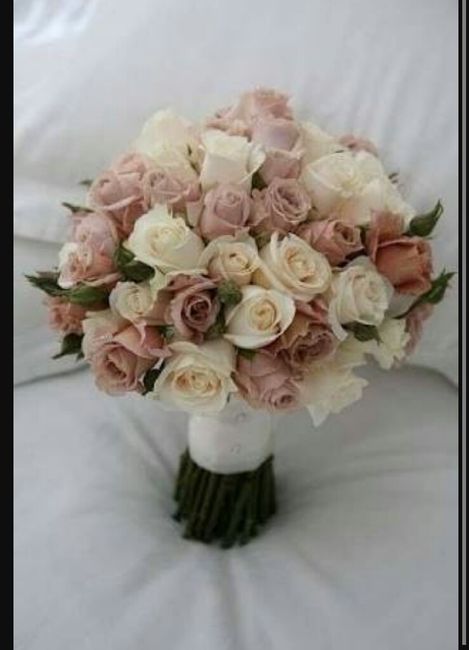 Ustedes como cual elegirían? - 5