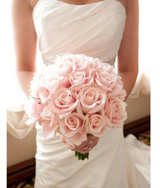 Ustedes como cual elegirían? - 7