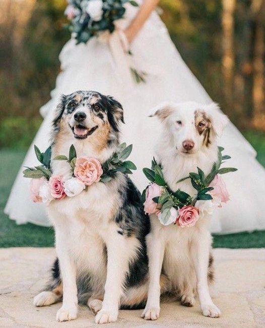 Les presento mi Web de boda: Rubi+fernando 4