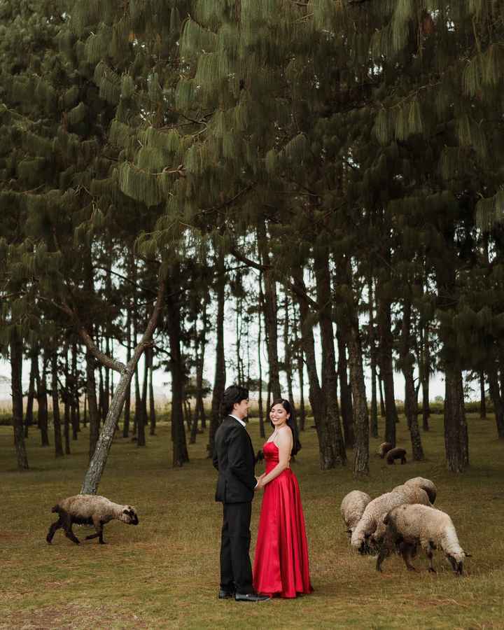 Sesión Pre Boda - 3