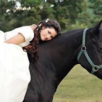 Mi tránsporte para el gran día - 1