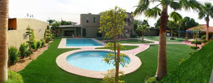mi jardin :)