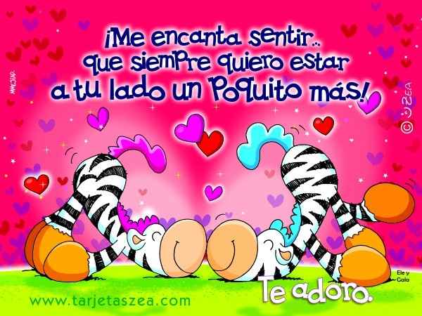te amoo
