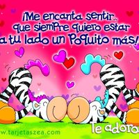 te amoo