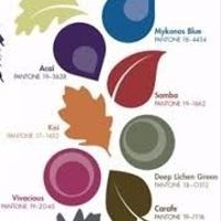 colores de temporada