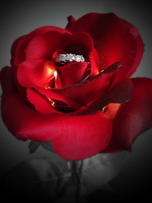 Le di el anillo ! - 2