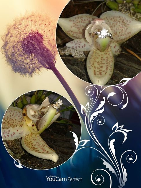 Como es tu anillo?:) - 1