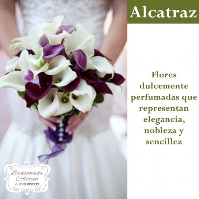 Flor alcatraz 1